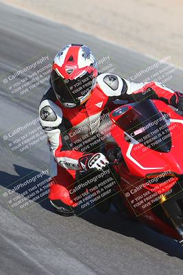 media/Oct-05-2024-Race Pace (Sat) [[aa7b44e117]]/5-Turn 15 Inside (910am)/